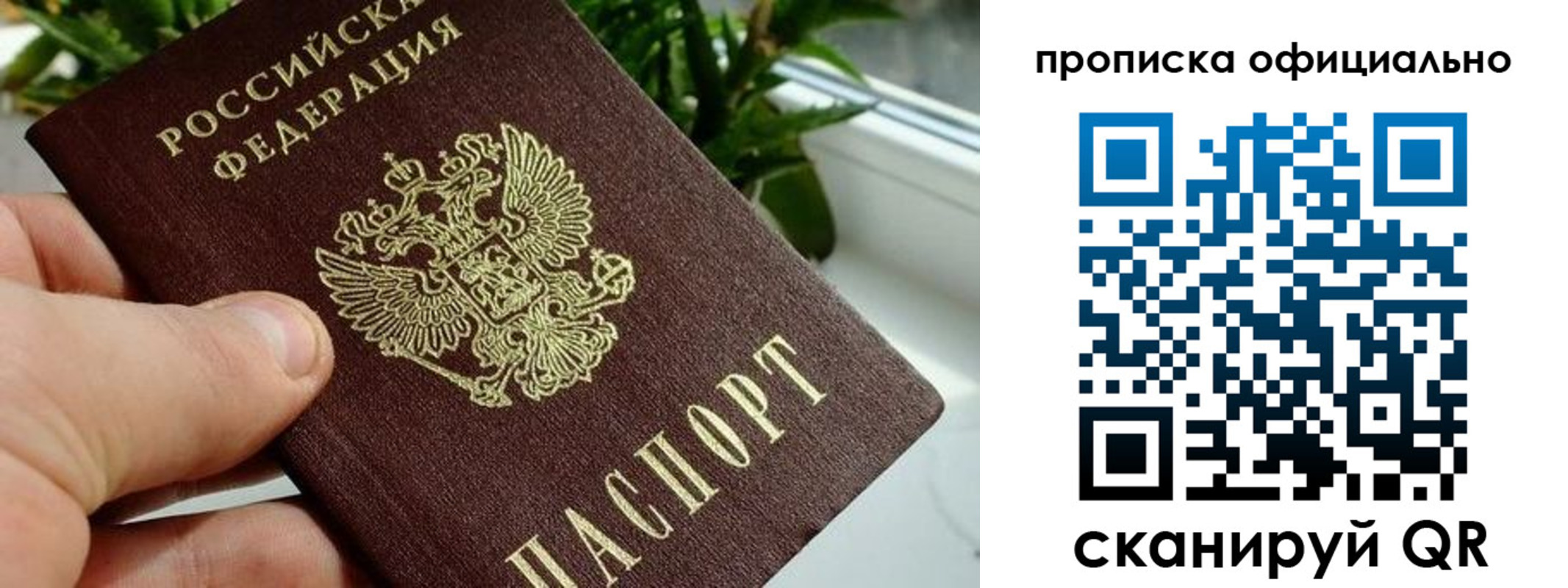 прописка поиск в Вельске